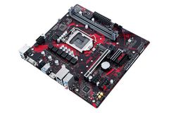 ASUS EX B460M V5