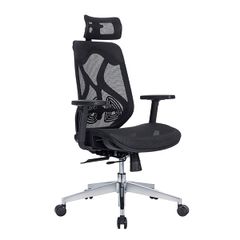 Ghế công thái học ergonomic E-Dra EEC227