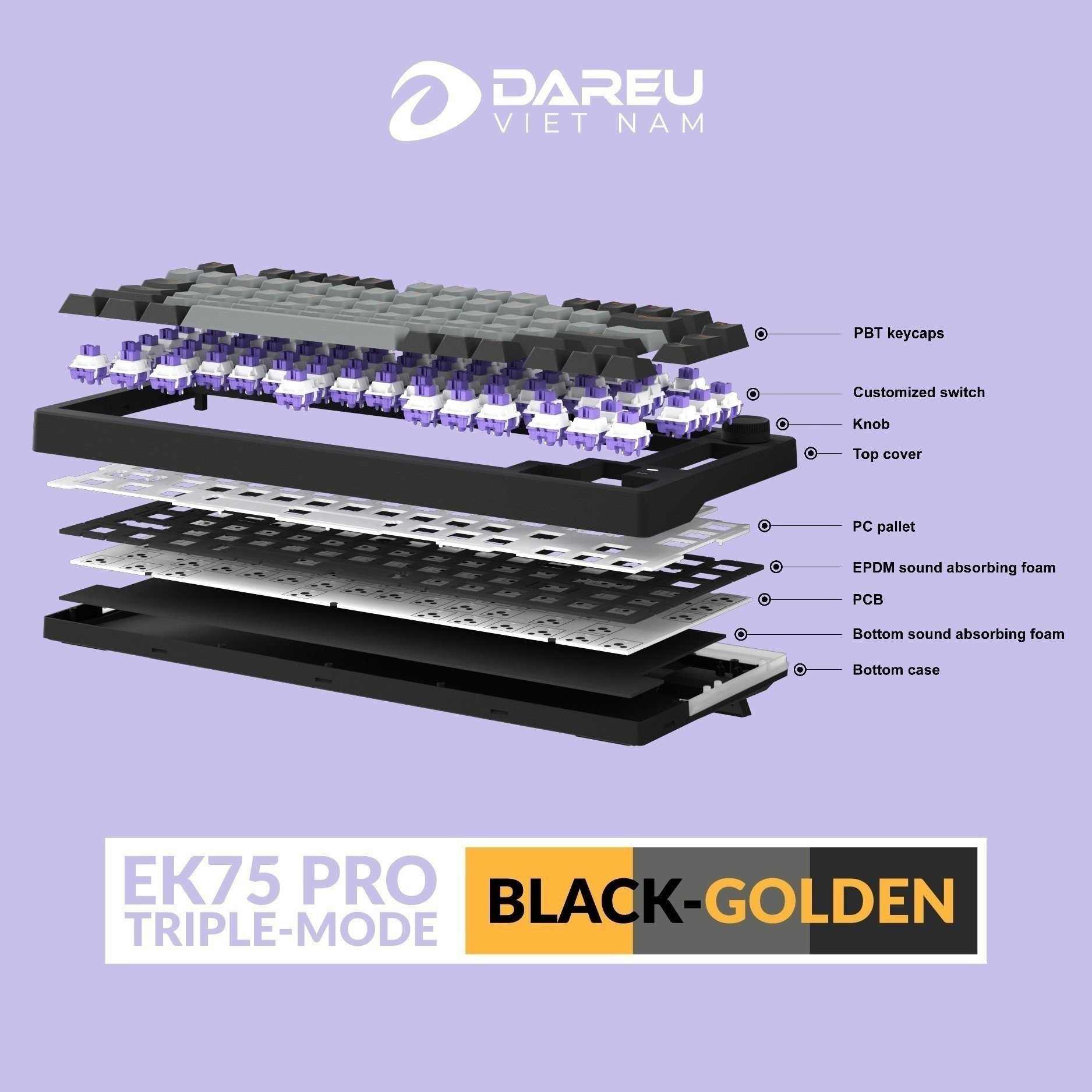 Bàn phím cơ DAREU EK75 PRO Black Golden Dream Switch
