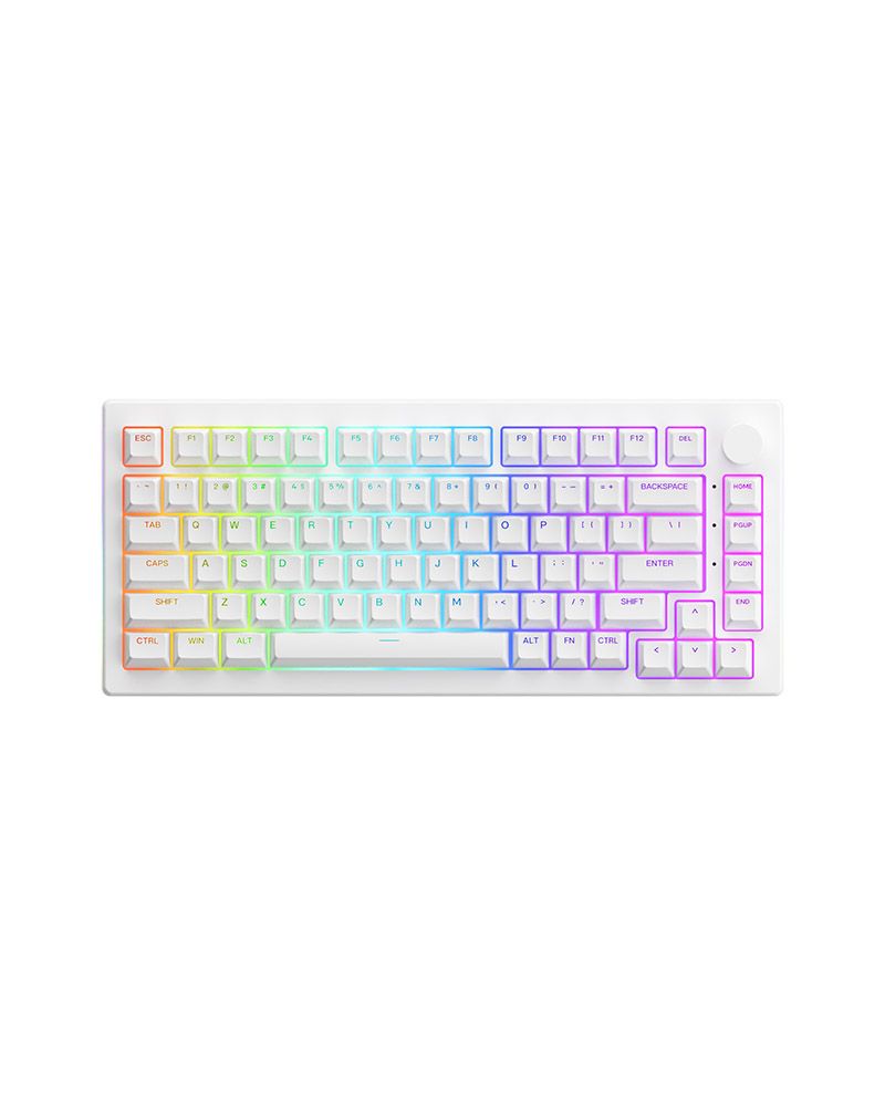 Bàn Phím cơ AKKO 5075B Plus White (Multi-modes / RGB / Gasket mount)