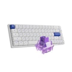 Bàn phím cơ không dây AKKO 3068B Plus Blue On White ( AKKO CS Switch - Jelly Purple )