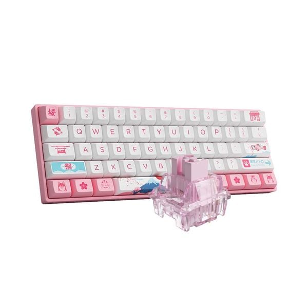 Bàn phím cơ không dây AKKO 3068B Plus World Tour Tokyo R2 ( AKKO CS Switch - Jelly Pink )