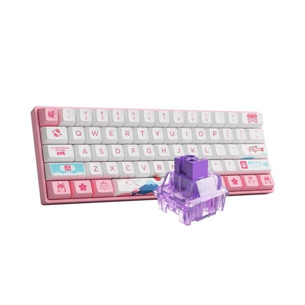 Bàn phím AKKO 3068B Plus World Tour Tokyo R2 (Akko cs switch - Jelly Purple)