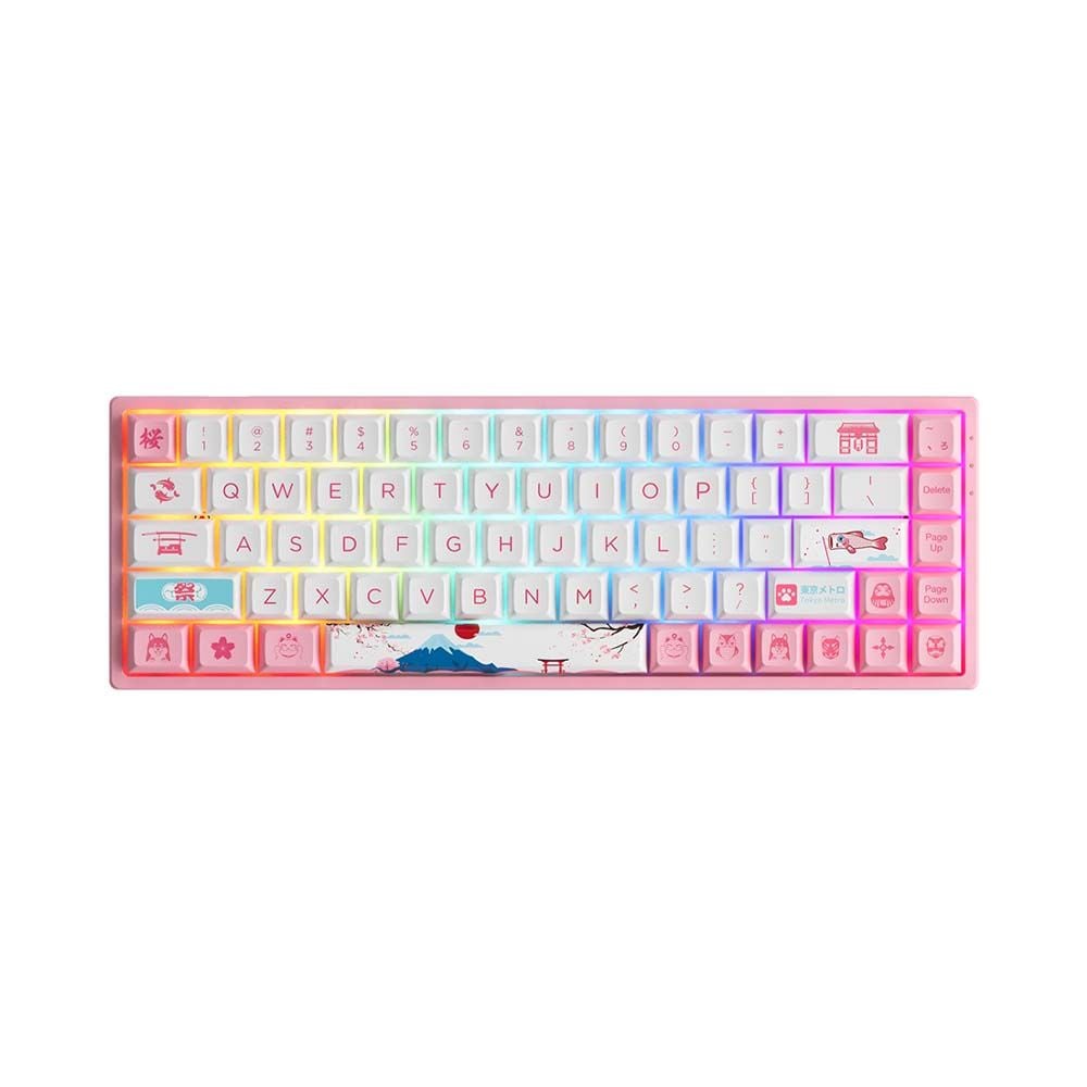 Bàn phím cơ không dây AKKO 3068B Plus World Tour Tokyo R2 ( AKKO CS Switch - Jelly Pink )