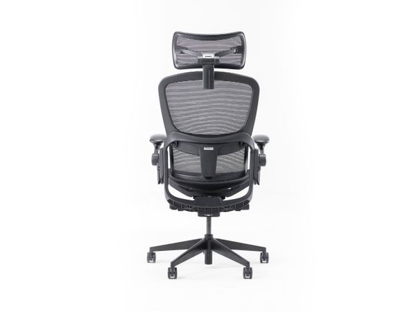 Ghế công thái học Epione Easy Chair v2.0 - Black