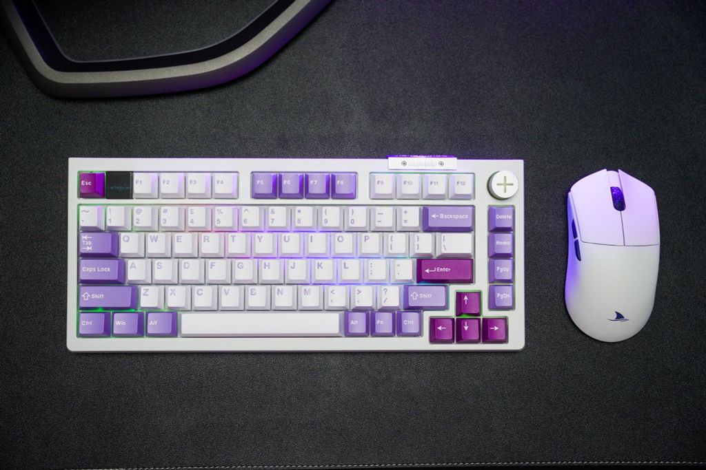 Bàn phím Darmoshark TOP 75 Tri-mode RGB White
