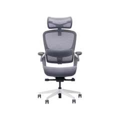 Ghế công thái học Epione Easy Chair v2.0 - Xám