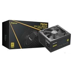 Nguồn Segotep GP850G 750W 80 Plus Gold Full Modular (GP-850G)