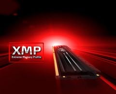 Adata 8GB (1X8GB) DDR4 3000Mhz Xpg Gammix D10