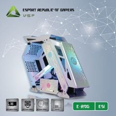 CASE VSP ESPORT REPUBLIC OF GAMERS ES1