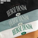  Áo thun nam Heboz boxy logo 3M - 00002697 