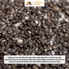 Hạt Chia Đen Hữu Cơ - Hũ nhựa 600g - Oh Smile Nuts