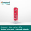 [HẠN SỬ DỤNG 28/02/2026] Son dưỡng hồng môi chiết xuất dâu tây Himalaya Strawberry Shine Lip Care 4.5G