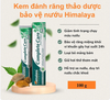 Kem đánh răng bảo vệ nướu Himalaya Complete Care Toothpaste