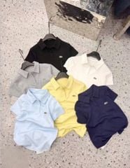 VGU9878 ÁO THUN POLO CÁ SẤU (X.BIỂN)