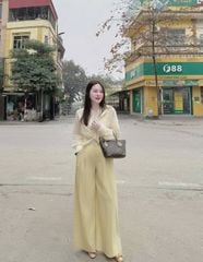 VGU9891 SET SƠ MI PHỐI REN ( VÀNG )