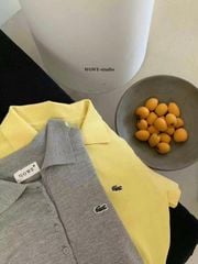 LEN2242-Áo len cổ polo thêu cá sấu Xám (áo lẻ)