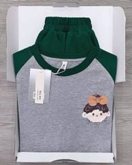 KS0661-Set áo thun xám phối tay in hình, quần short Xanh