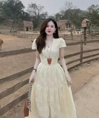 VRA0606-Đầm dài cổ viền ren thêu hoa CC