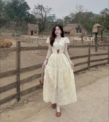 VRA0606-Đầm dài cổ viền ren thêu hoa CC