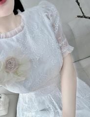 VGU0244-Đầm ren TK đính hoa CC
