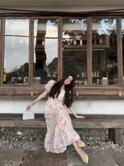VGU0094 ĐẦM HOA HỒNG