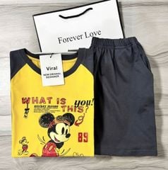VRA0650 - SET BỘ MICKEY VÀNG PHỐI XÁM (áo vàng)