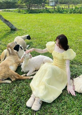 VRA0610 ĐẦM VÀNG MOCKING THUN TAY PHỒNG