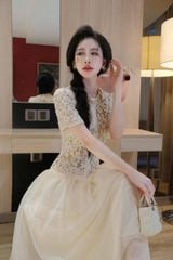 TB8217 - ĐẦM CAO CẤP DÀI PHỐI NÚT