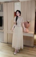 TB8217 - ĐẦM CAO CẤP DÀI PHỐI NÚT