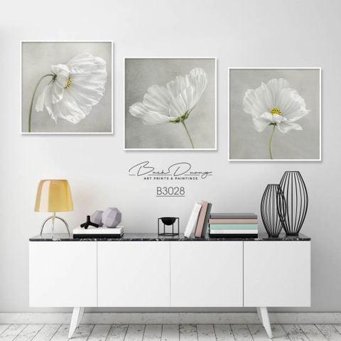  Bộ 3 tranh hoa trắng đẹp B3028 