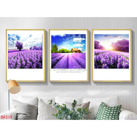  Bộ 3 bức tranh Hoa tím BA539 