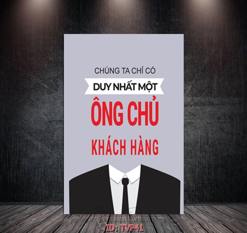  Tranh động lực TVP41 