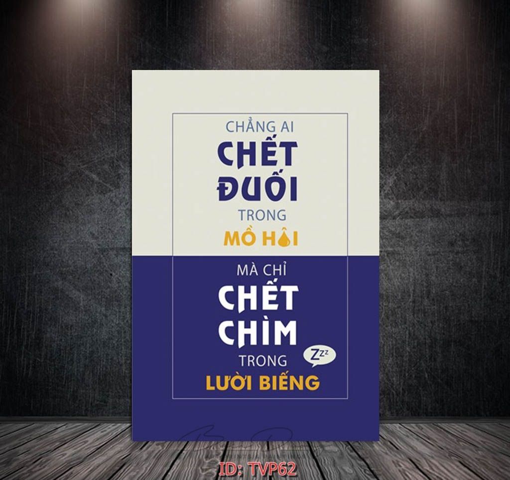  Tranh động lực TVP62 