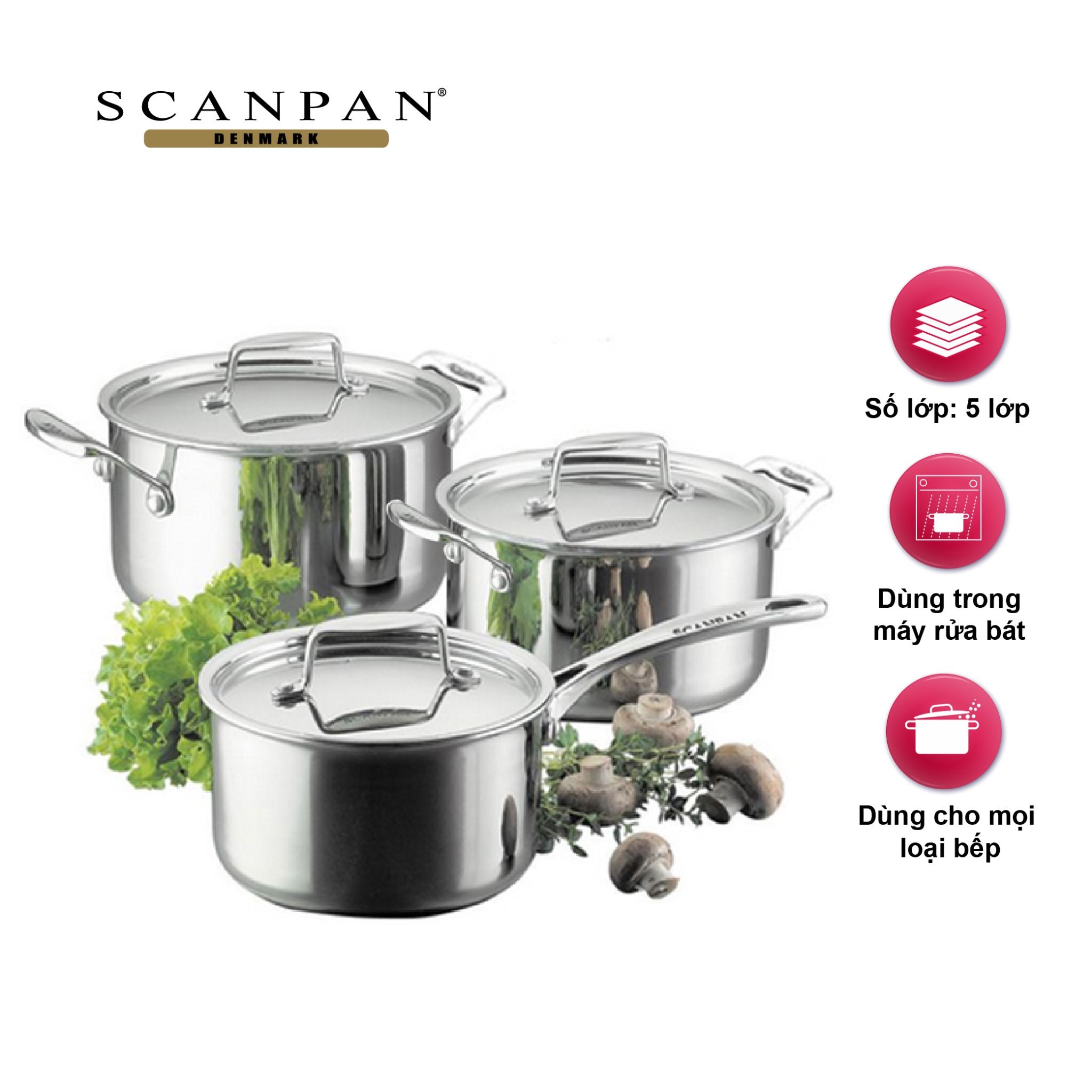 Bộ nồi inox Scanpan Fusion5 3 chiếc 74000300