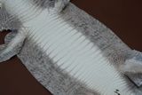  Bao Da Chìa Khóa Mercedes - Da Cá Sấu Himalaya 
