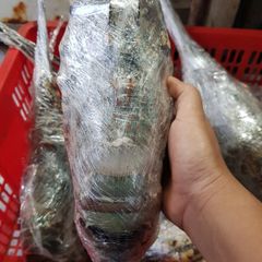 Tôm hùm Bông ngất xịn 0.9-1.4kg/con