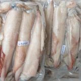 Mực ống câu Nam Định 6-7 con/kg (kg)