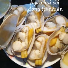 Ngao hai cồi to đại 15-18/kg