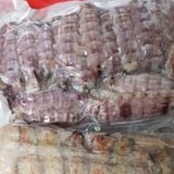 Nõn bề bề trứng Nam Định