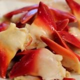 Sò Đỏ ăn gỏi Nhật Bản