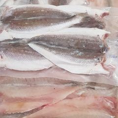 Cá Lanh 1 nắng (kg)