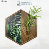 BỘ LỤC GIÁC TRANG TRÍ NÂU - LB -N