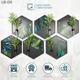 BỘ LỤC GIÁC TRANG TRÍ ĐEN