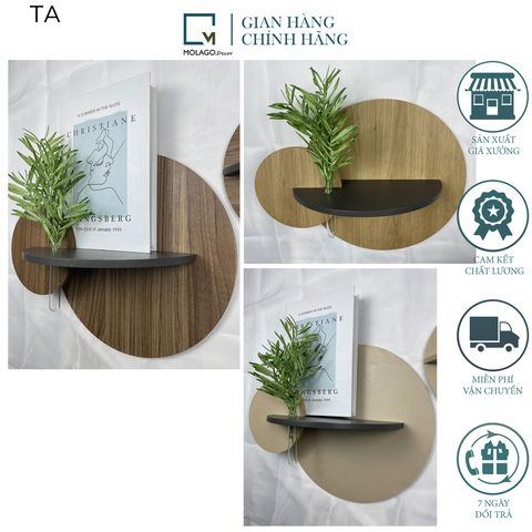 KỆ DÁN TƯỜNG TRÒN - TA