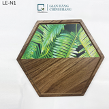 LỤC GIÁC TRANG TRÍ - LE