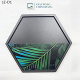 LỤC GIÁC TRANG TRÍ - LE