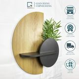 Kệ gỗ treo tường trang trí /kệ đặt tinh dầu BA-V|Molago