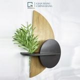 Kệ gỗ treo tường trang trí /kệ đặt tinh dầu BA-V|Molago