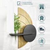 Kệ gỗ dán tường trang trí bán nguyệt vân gỗ nhạt BB-V|Molago